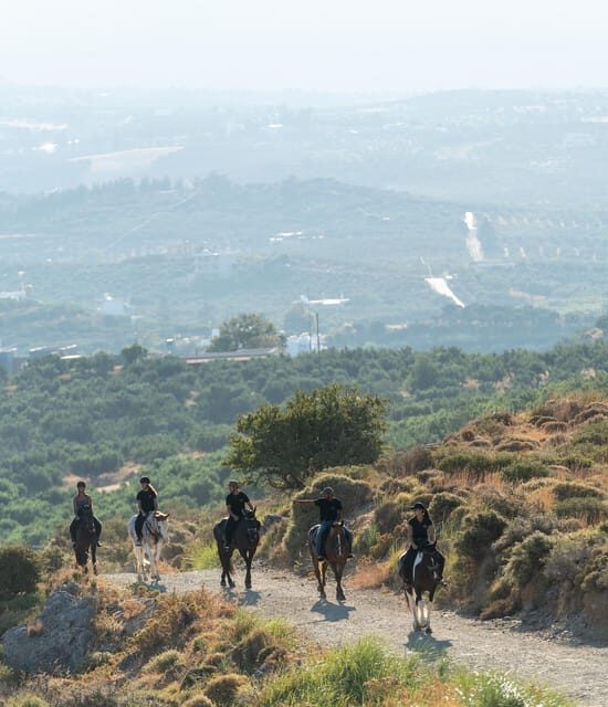 Crete: Plakias Panorama Horse Riding Trip - How This Tour Offers Value