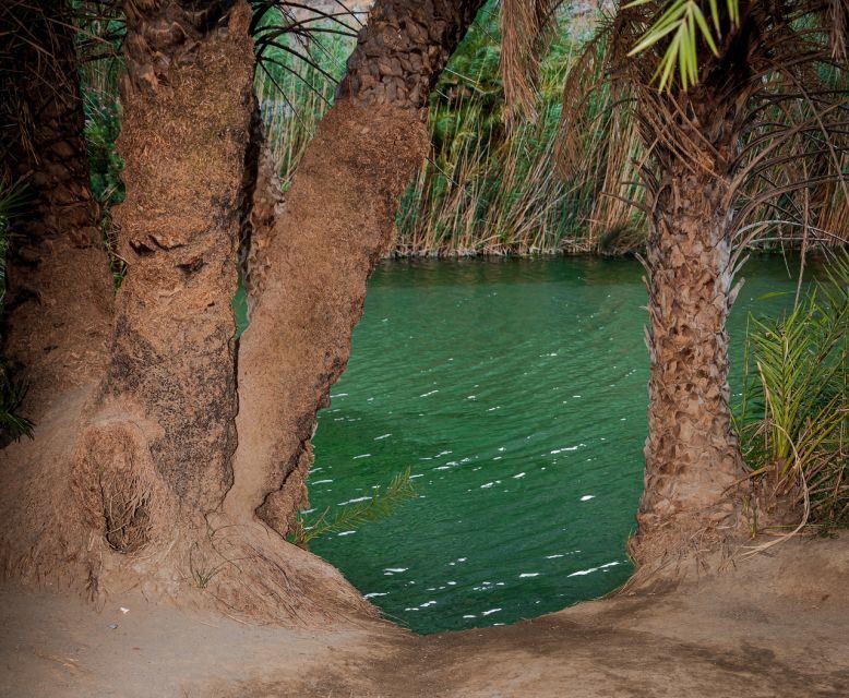 Crete: Preveli Tropical Beach and Palm Forest - A Deep Dive into the Preveli Tour Experience