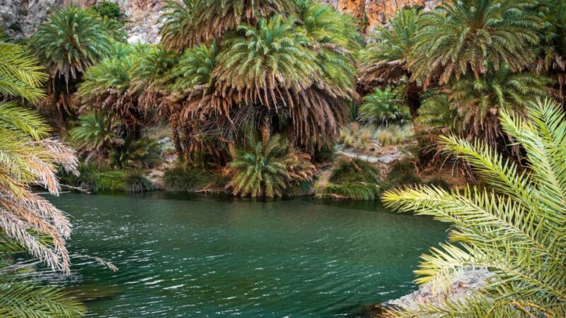 Crete: Preveli Tropical Beach - An In-Depth Look at the Preveli Tropical Beach Tour