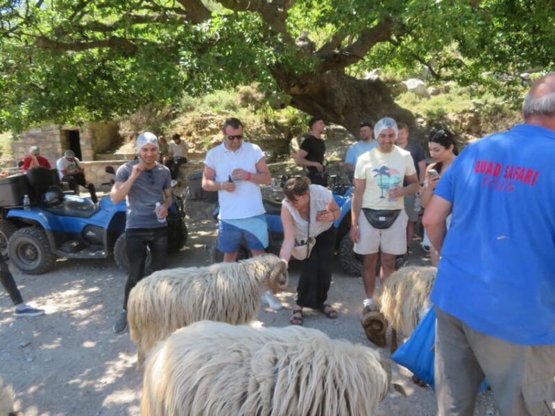 Crete Quad Safari Off-Road,Breathtaking Scenery&Amazing View - Final Thoughts