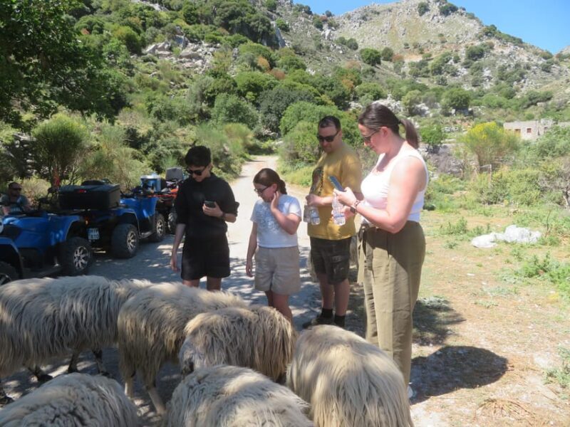 Crete Quad Safari Off-Road,Breathtaking Scenery&Amazing View - FAQ