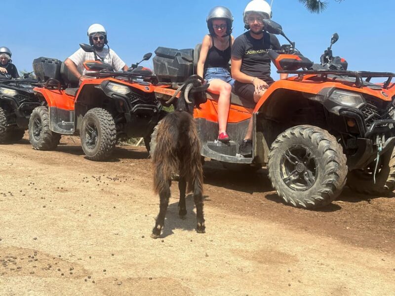 Crete: Quad Safari, Olive Mill with Tasting & Ghost Village - Who Should Consider This Tour?