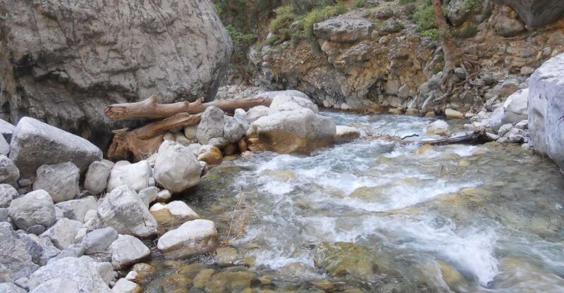 Crete: Samaria Gorge Hiking with transfer and expert Escort - Key Points