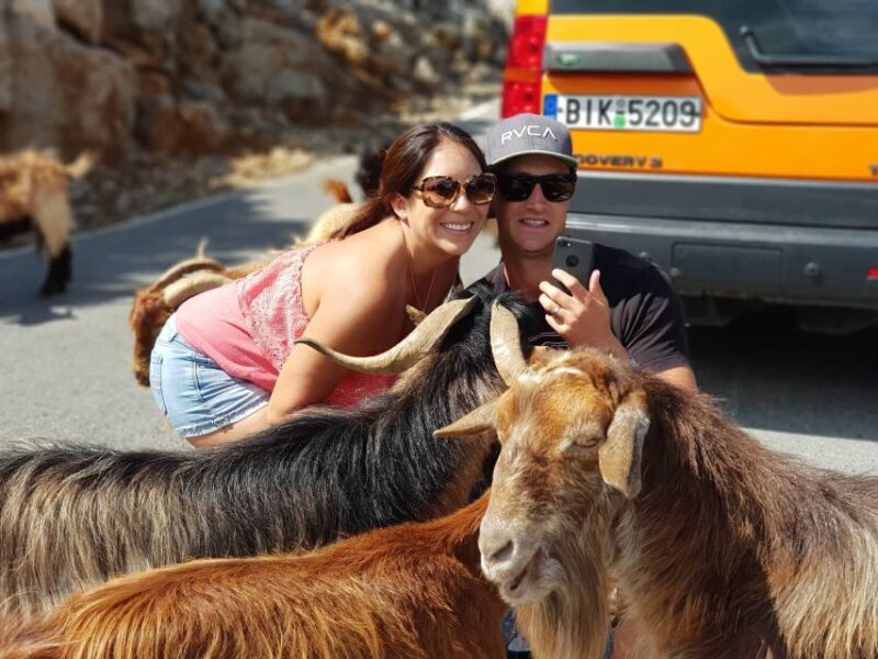 Crete: Sarakina Gorge, Forests, and South Coast Safari - Final Thoughts