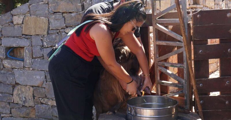 Crete: Shepherds Life & Psiloritis Mountain Tour with Meal - Scenic Drive & Village Stop