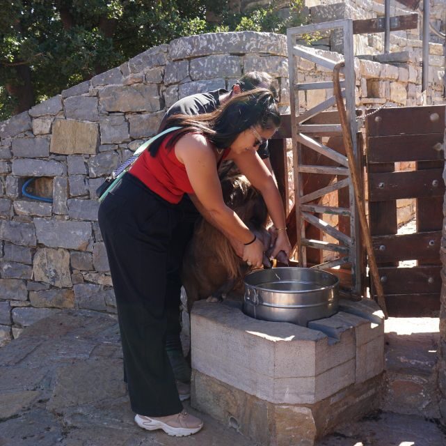 Crete: Shepherds Life & Psiloritis Mountain Tour with Meal - Practical Considerations & Value