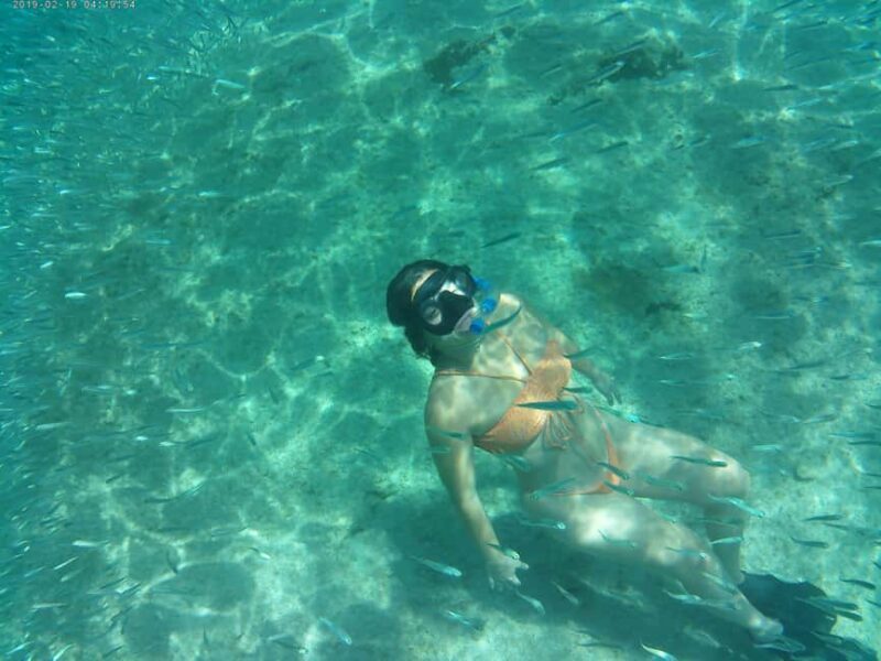 Crete: Snorkel Cretes Hidden Coves by Boat - Key Points