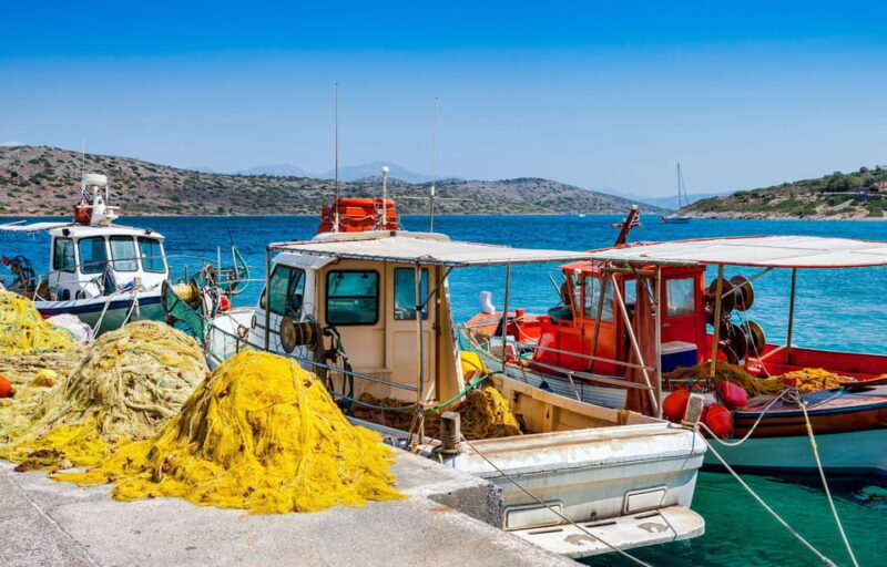 Crete: Spinalonga, Agios Nikolaos and Olive Oil Farm Tour - Wrapping Up