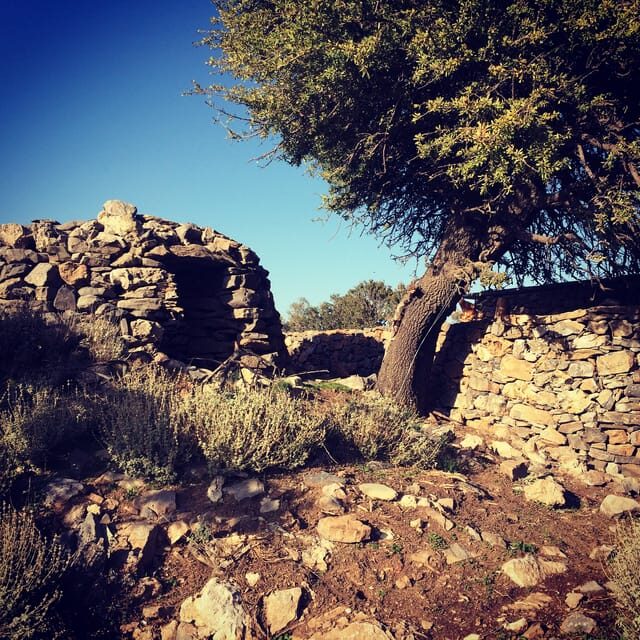 Crete: White Mountains Preserve Day Tour - An In-Depth Look at the Crete White Mountains Tour