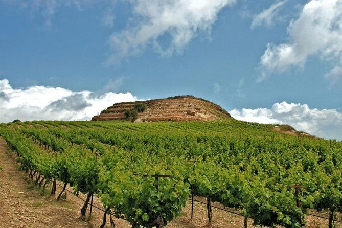 Crete Wine and Olive Oil Tour - Exploring the Crete Wine and Olive Oil Tour in Depth
