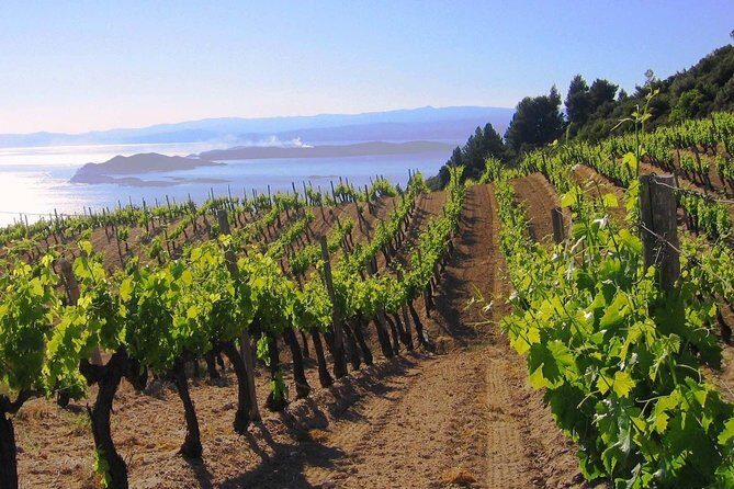Crete Wine & Olive Oil Tour - Final Thoughts