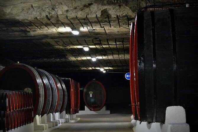 Cricova Winery & SPA Visit - Why This Tour Is Worth Considering