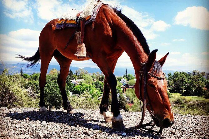 Criolla Horseback Riding - Criolla Horseback Riding: Authentic Argentine Landscape and Culture in Mendoza