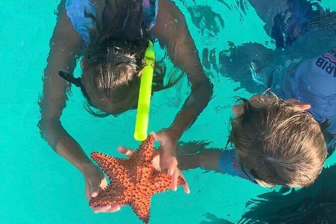 Cristal Speed boat, Snorkeling, Beach Tour & Lunch St Maarten - An In-Depth Look at the Cristal Speed Boat Experience