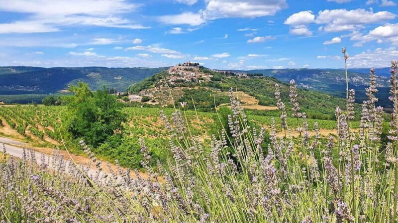 Croatia, Istria: 7-Day Premium Cycling & Gourmet E-Bike Tour - Discovering Istria’s Scenic and Cultural Charm