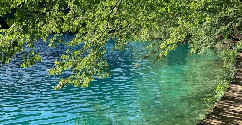 Croatia: Plitvice Lakes Private Tour with Hotel Pickup - Why This Tour Offers Great Value