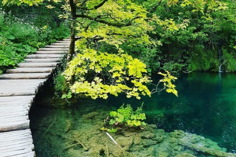 Croatia: Plitvice Lakes Private Tour with Hotel Pickup - Final Thoughts