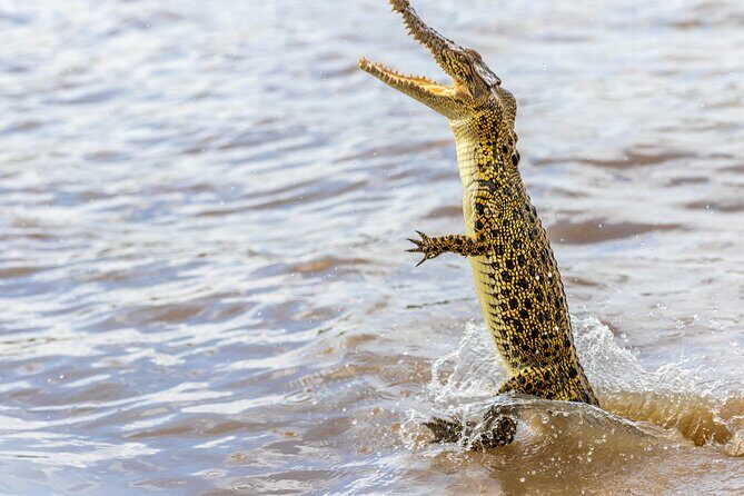Croc Country Safaris - The Sum Up: Who Will Love Croc Country Safaris?