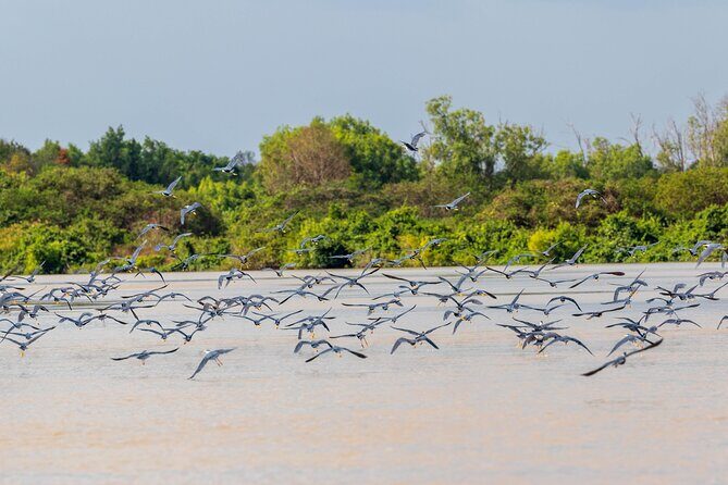 Croc Country Safaris - FAQ: Common Questions About Croc Country Safaris