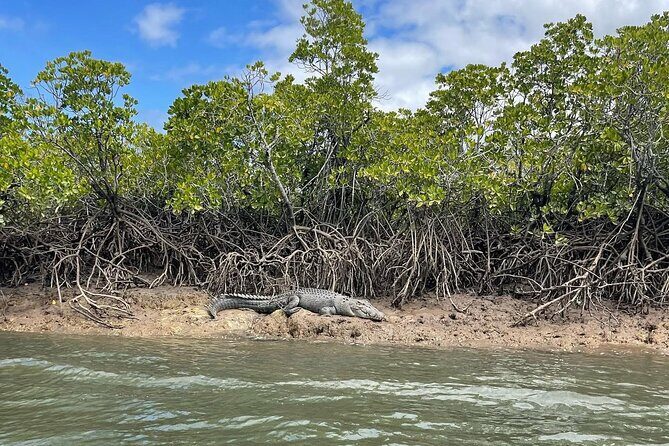Croc Spotting Jetski Experience in Cairns City - Who Will Love This Experience?