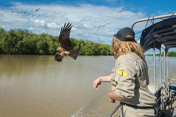 Crocodile Jumping Boat Cruise with Transfer from Darwin - Authentic Encounters That Matter