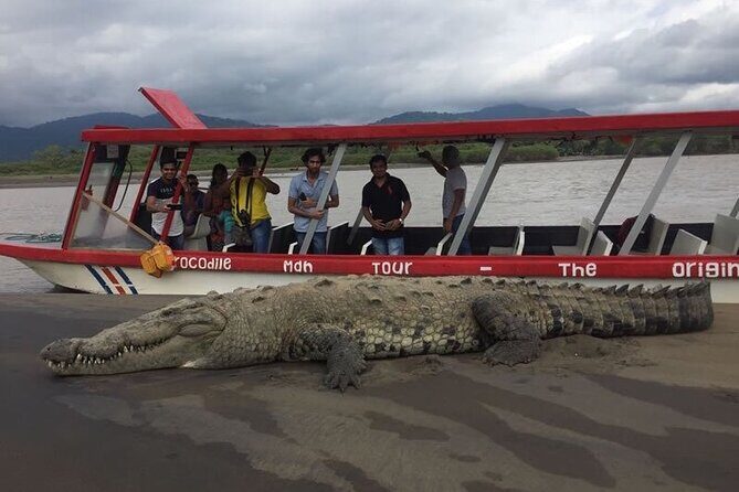 Crocodile Jungle River Safari & Puntarenas Cultural Highlights - Crocodile Jungle River Safari & Puntarenas Cultural Highlights: A Detailed Review