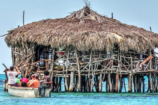 Crocodile Safari/Pelican Bar Combo. - A Deep Dive into the Crocodile Safari and Pelican Bar Experience