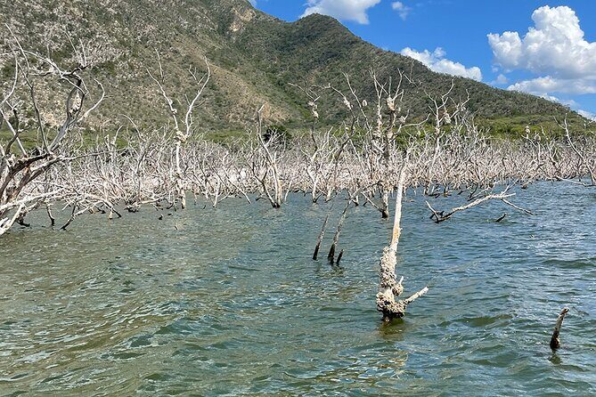 Crocodile Watching in Lago Enrriquillo, ALL INCLUSIVE - In-Depth Review of the Crocodile Watching Experience