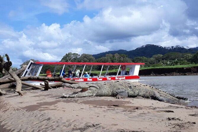 Crocodiles and Monkeys Tour to the Coast - Key Points