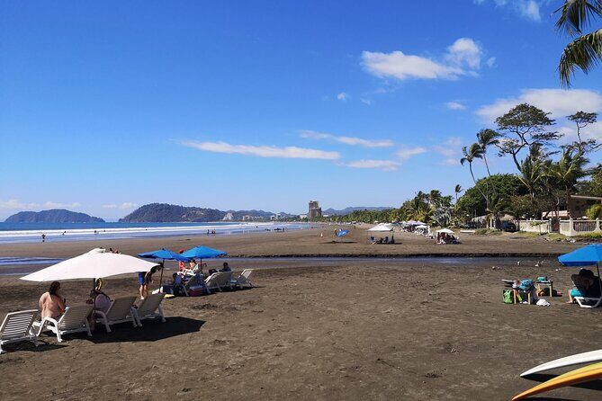 Crocodiles Safari & Zipline adventure - Private Sightseeing Tours - Key Points