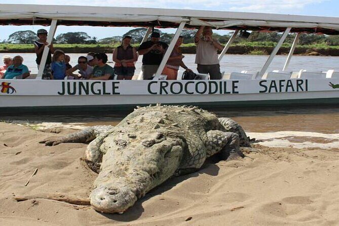 Crocodiles Safari & Zipline adventure - Private Sightseeing Tours - FAQ