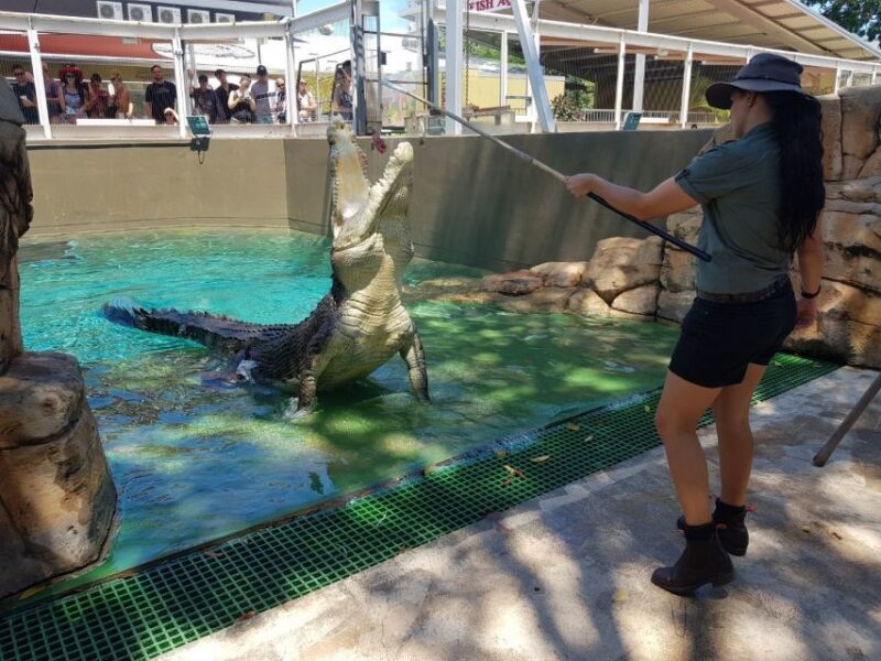 Crocosaurus Cove General Admission Ticket - Who Will Love This Experience?