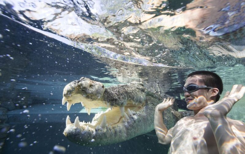 Crocosaurus Cove General Admission Ticket - Final Thoughts