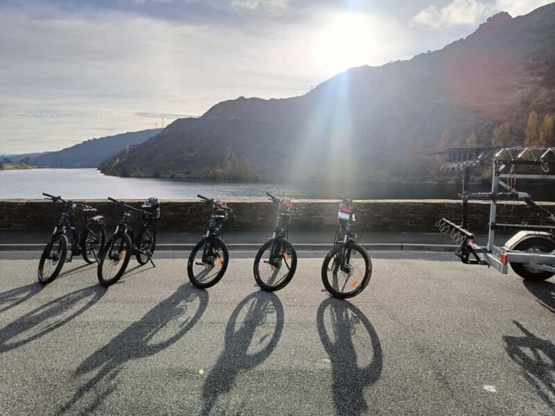 Cromwell: Lake Dunstan Trail Bike Rental and Luxury Shuttle - A Deep Dive into the Lake Dunstan Trail Bike Tour