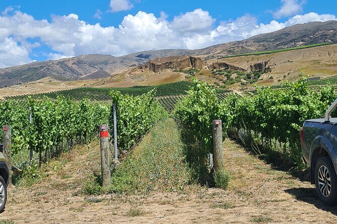 Cromwell Wine Tasting Tour using Classic Car - A Closer Look at the Cromwell Wine Tasting Tour Using a Classic Car