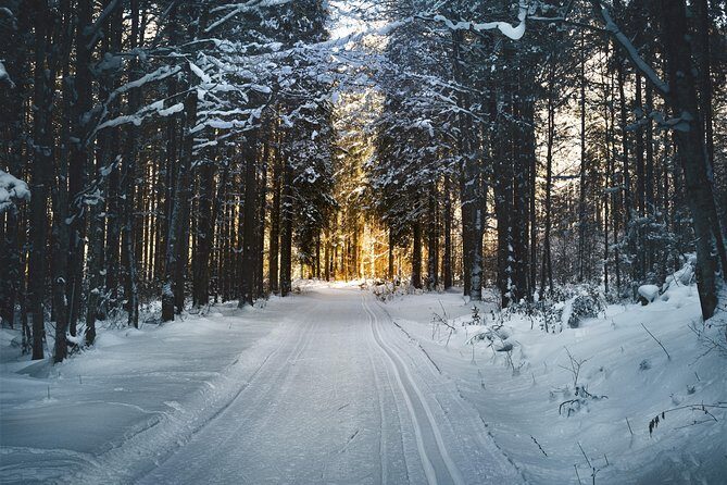 Cross-Country Skiing Guided Tour From Prague - Final Thoughts