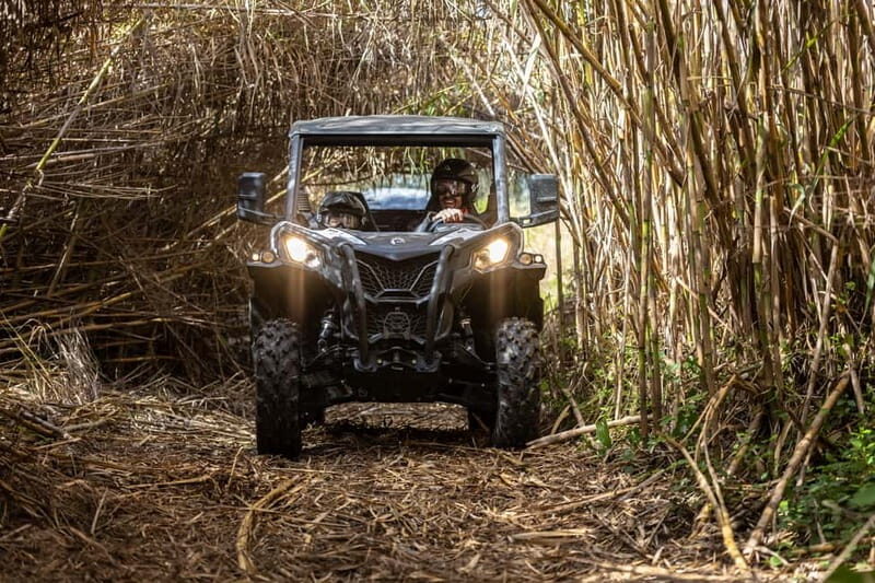 cross country - The Experience in Detail