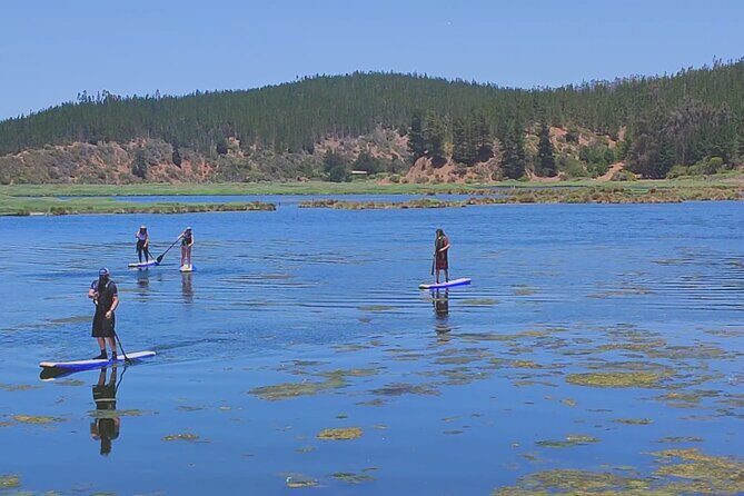 Crossing the Salt Route on a Rowing Surfboard - Crossing the Salt Route on a Rowing Surfboard: An Authentic Chilean Adventure