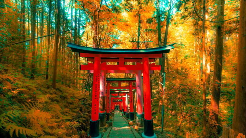 Crowd-Free Kyoto: Fushimi Inari, Nijo Castle & Kinkaku-ji - Who Will Love This Tour?