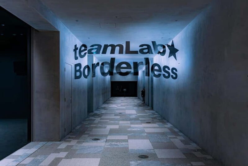 Crowd-Free Tokyo : teamLab, Roppongi Hills Views & NACT - Exploring Tokyo’s Modern Heart: What You Can Expect