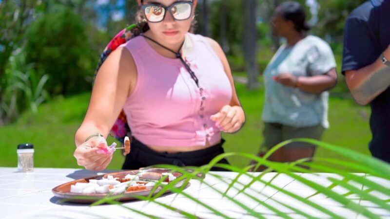 Croydon in the Mountains - Eco Farm Tour with Lunch - Key Points