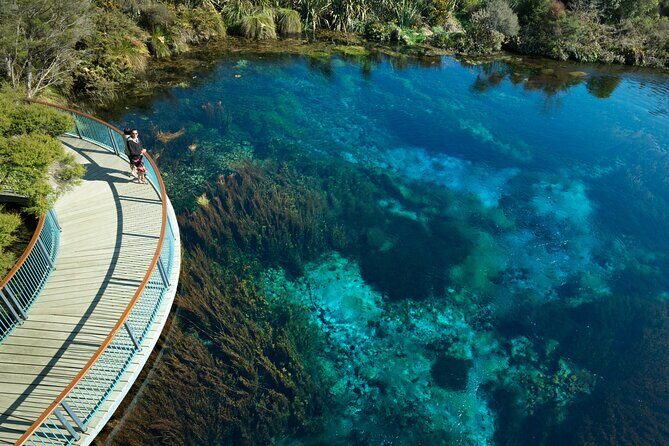Cruise Abel Tasman to Golden Bay - Exploring Nelson’s Coastal Gems: Cruise Abel Tasman to Golden Bay