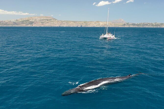 Cruise along the Three Capes on the Costa Blanca from Denia - What to Expect on the Day