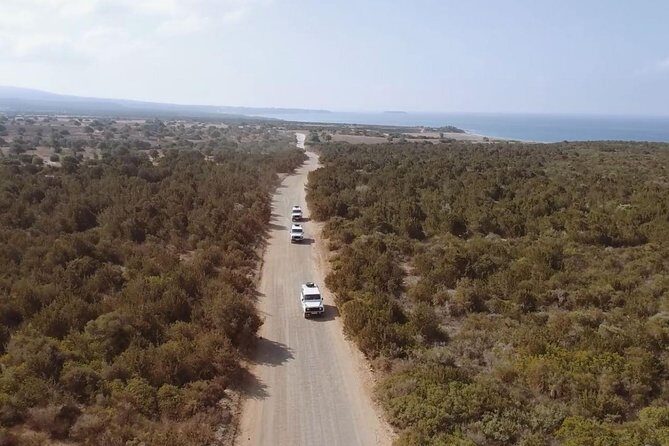 Cruise and 4X4 Safari Tour at Akamas Peninsula from Limassol - Practical Tips for Travelers