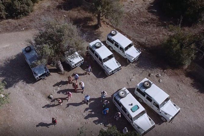 Cruise and 4X4 Safari Tour at Akamas Peninsula from Paphos - Key Points