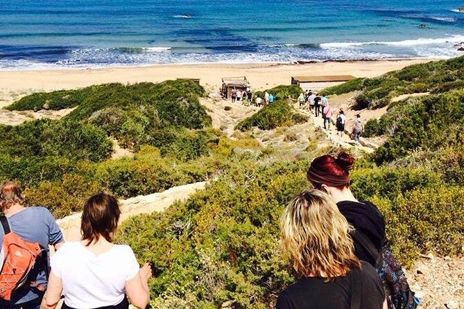 Cruise and 4X4 Safari Tour at Akamas Peninsula from Paphos - Final Verdict