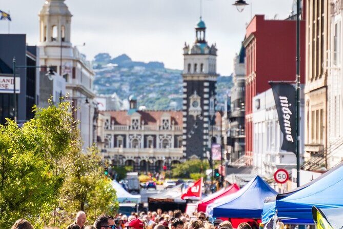 Cruise Dunedin City and Castle Tour - Why This Tour Is Worth Your Time