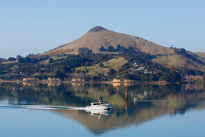 Cruise Dunedin City and Castle Tour - Final Thoughts: Is This Tour for You?