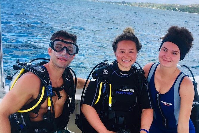 Cruise Excursion  2 Scuba Dives with transport (for certified divers) - A Deep Dive into the Experience