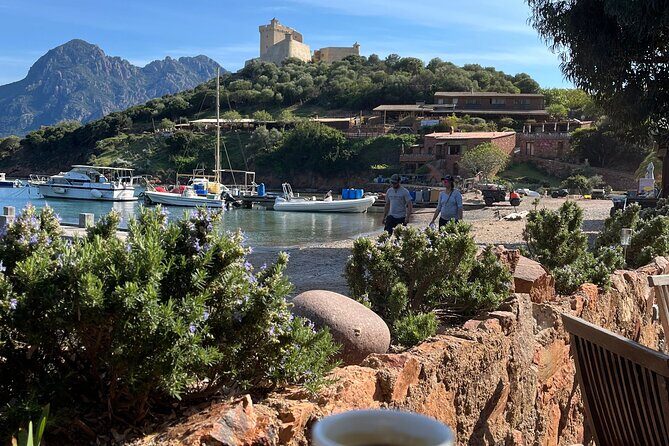 Cruise in a small group in Scandola Girolata Calanques de Piana - FAQs